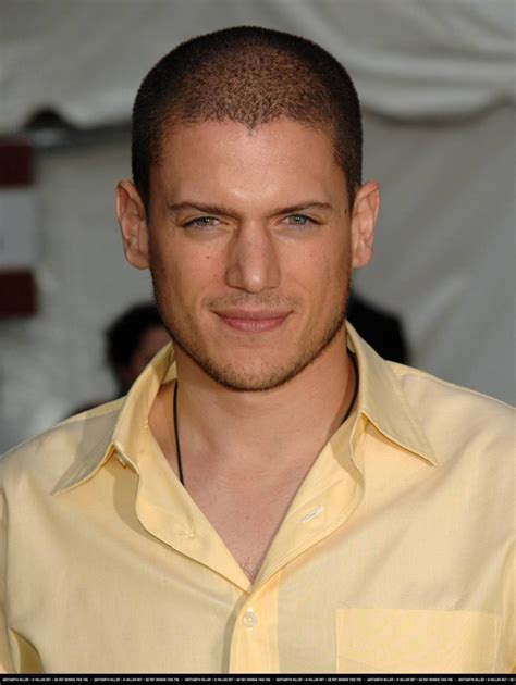 wentworth miller vermögen|Wentworth Miller